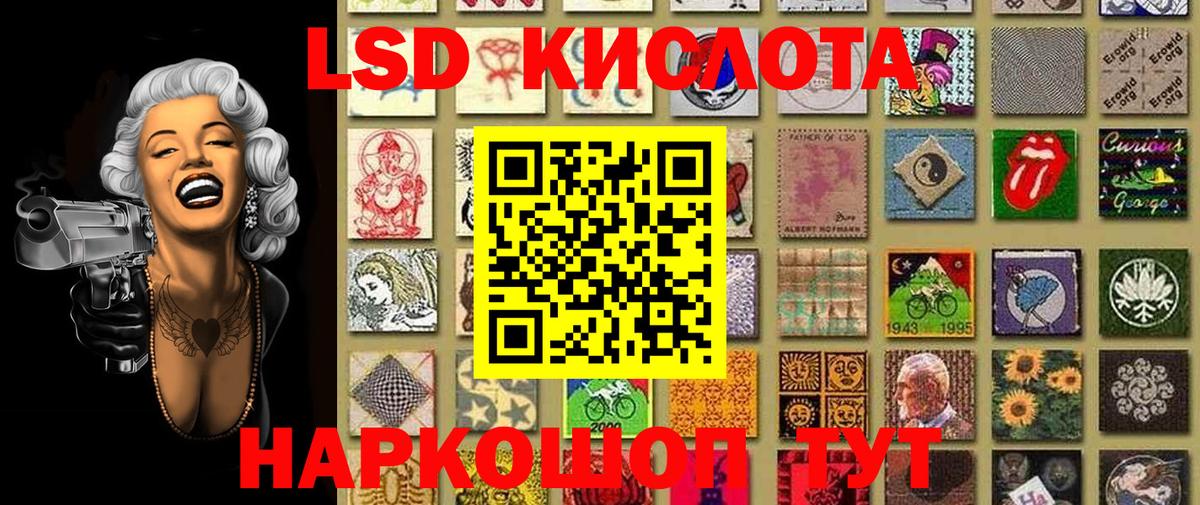 Губкин  Марки N-bome 1500мкг  Марки NBOMe  Вход с VPN  Марки N-bome 1500мкг 