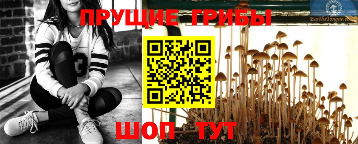 Галлюциногенные грибы прущие грибы Губкин